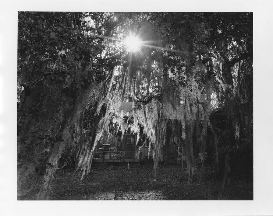 Calli Westra, "Untitled"