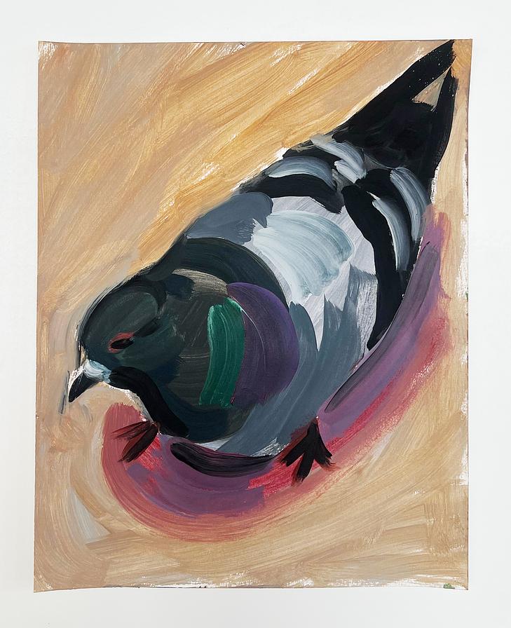 Anya Pertel, "Pigeon"